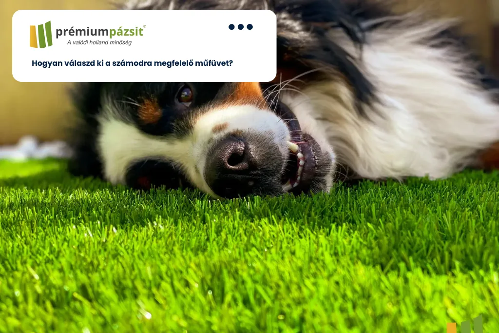 Hogyan válaszd ki a számodra megfelelő műfüvet?