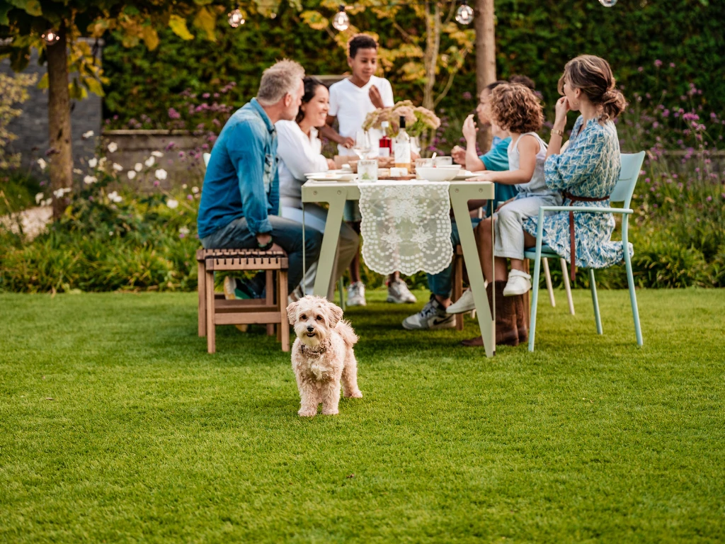 ONE-DNA Orion 35 - marketing