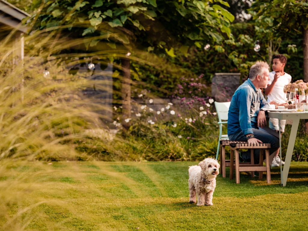 ONE-DNA Elan 35 - marketing