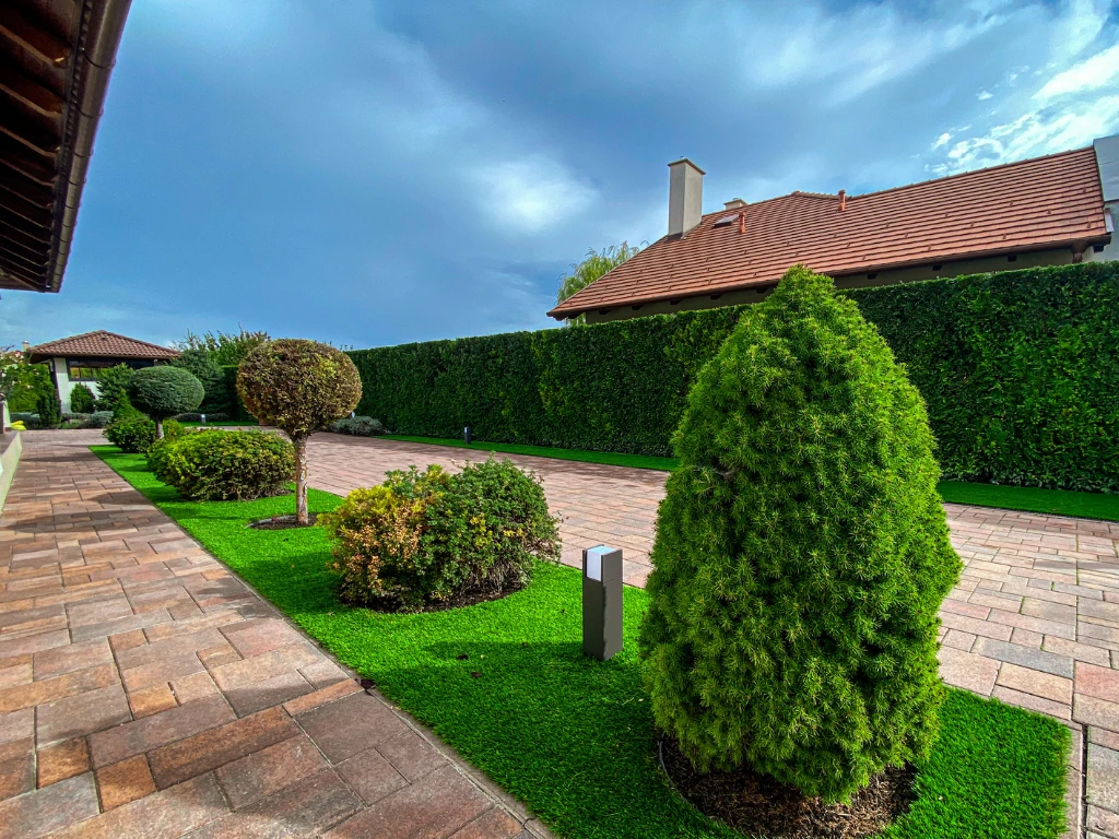 King 50 mm - marketing